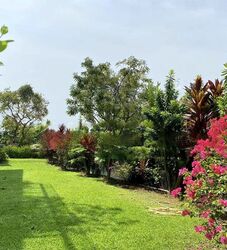 Bukit Tunggal Road (D11), Detached #458589361